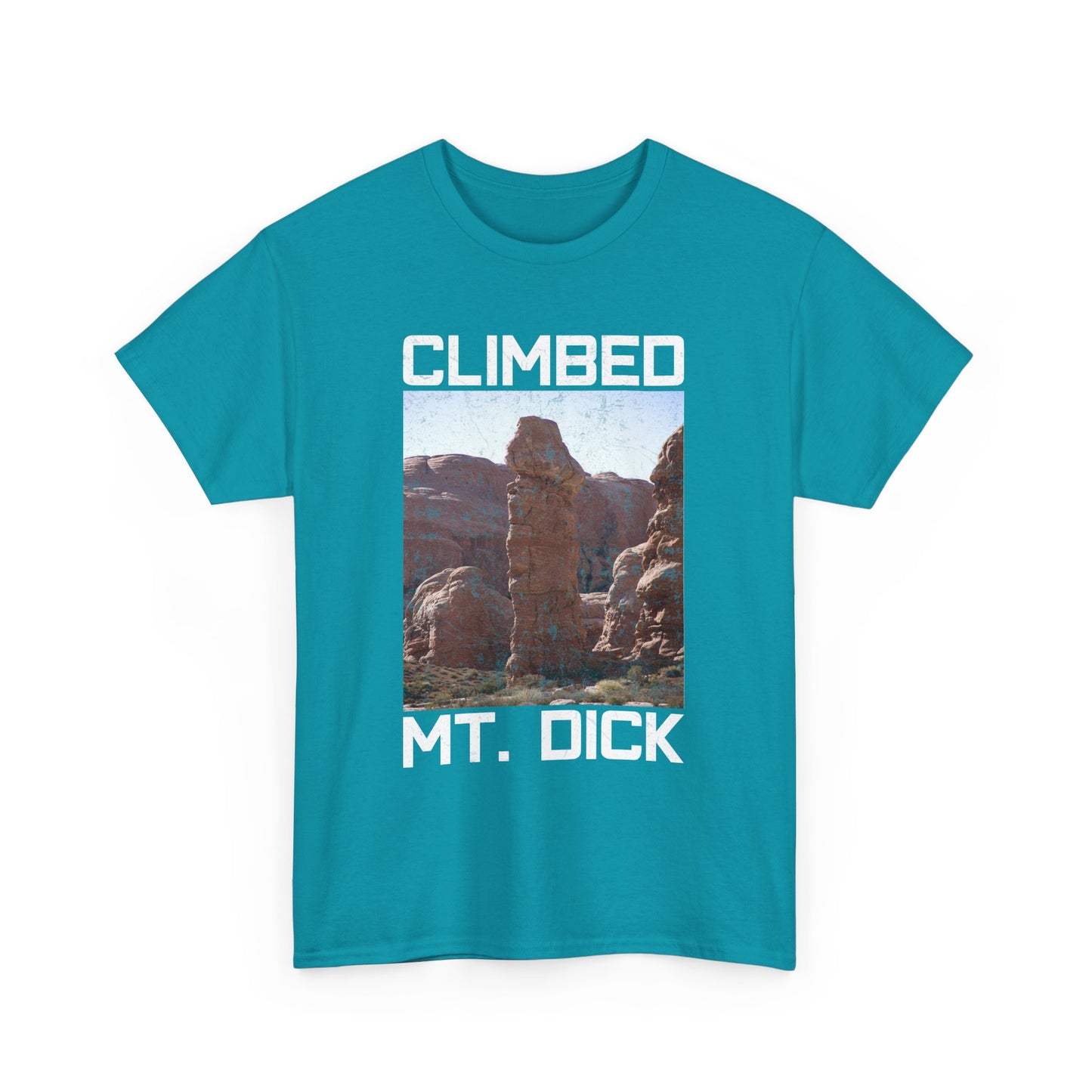 Climbed MT. Dick