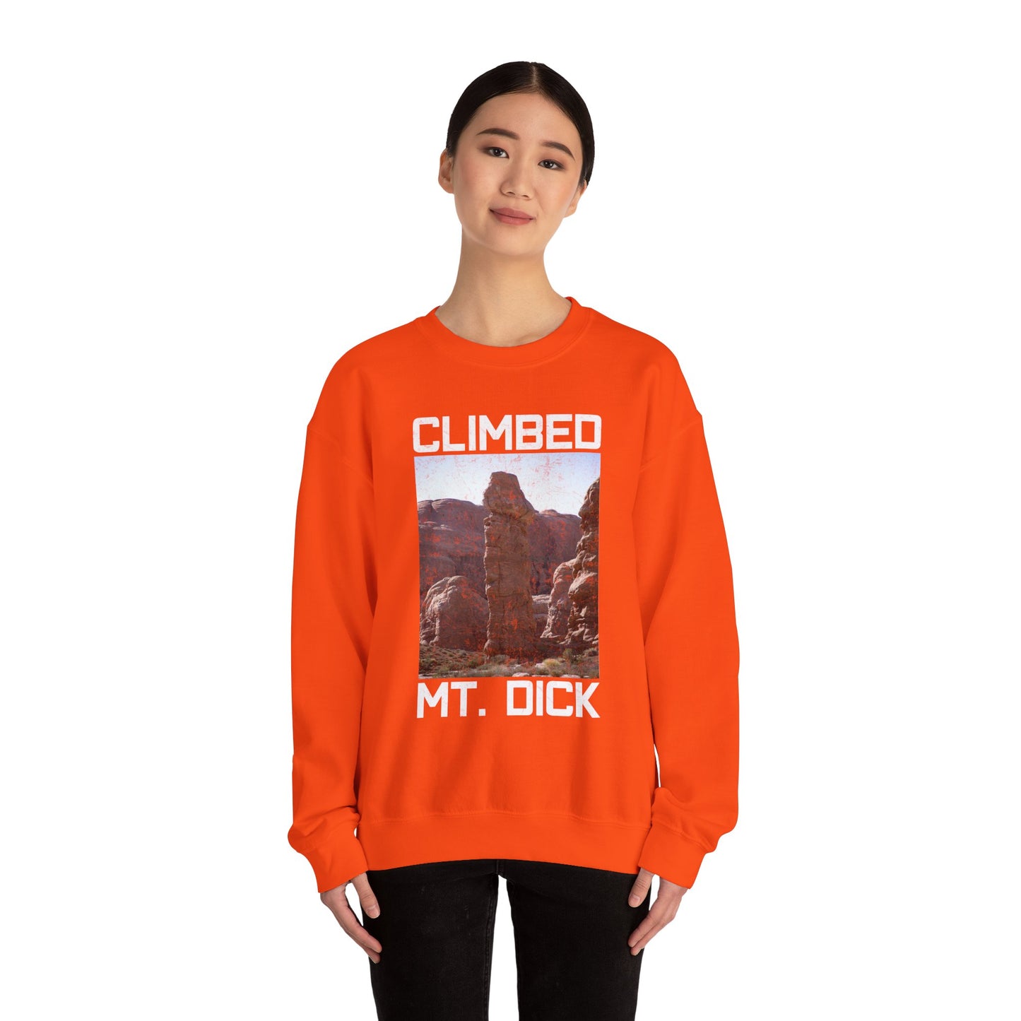 Climbed MT. Dick