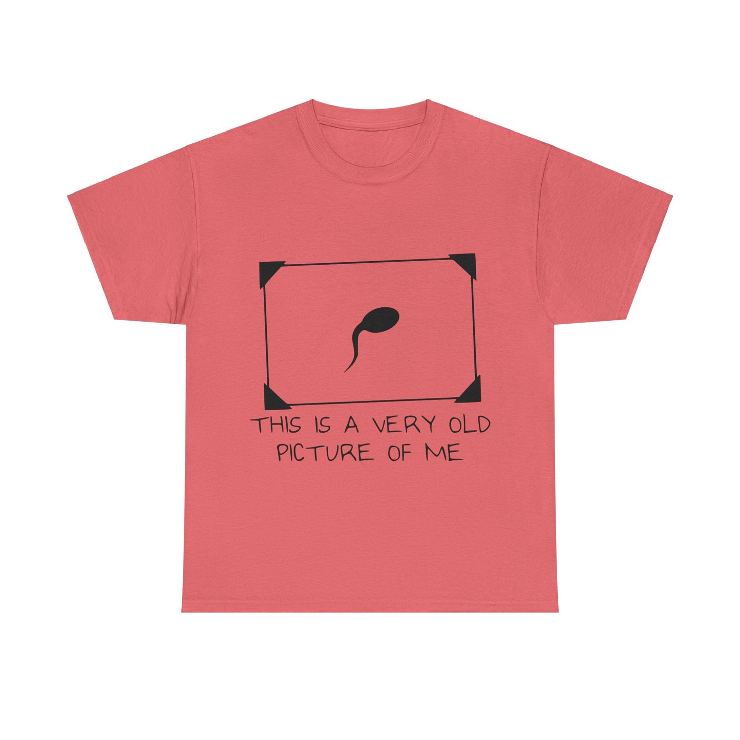 This Is A Very Old Picture Of Me - Funny Unisex Heavy Cotton Tee