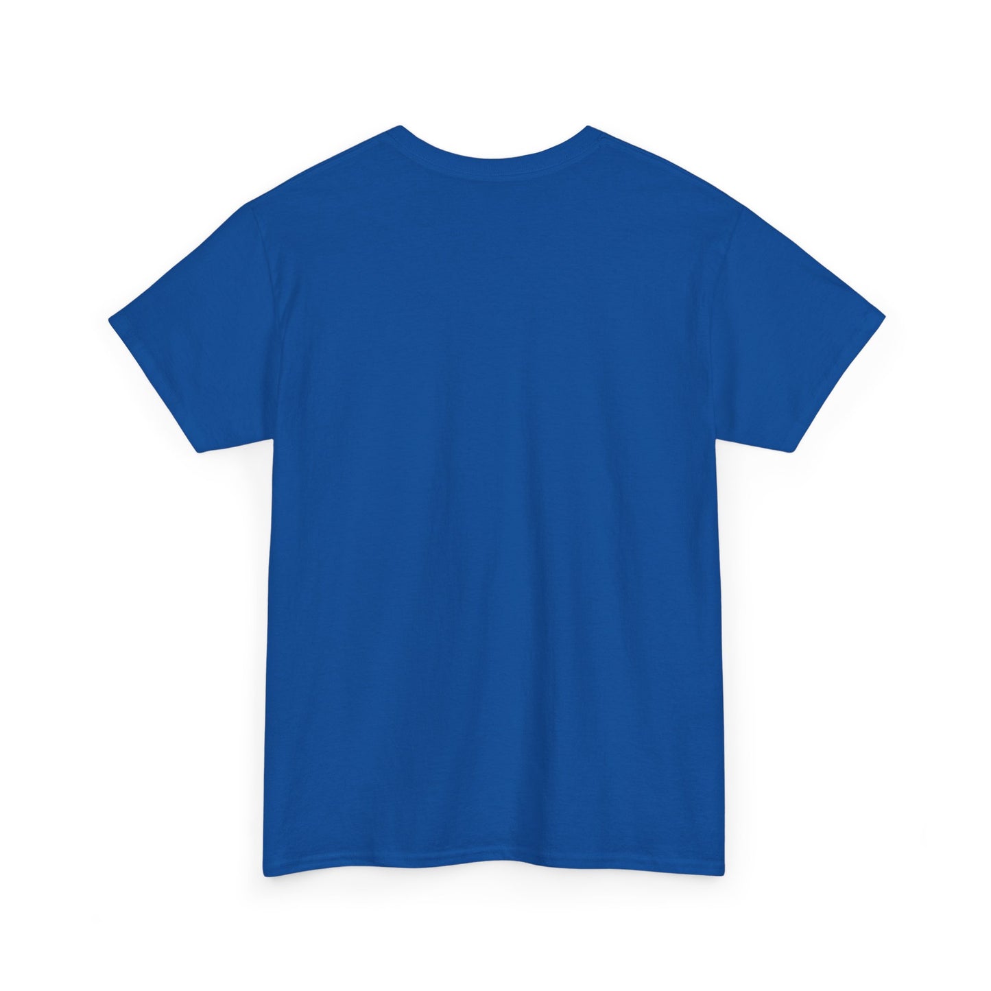 Horses Are Cool But Have You Ever Ridden A Cock - Funny Unisex Heavy Cotton Tee