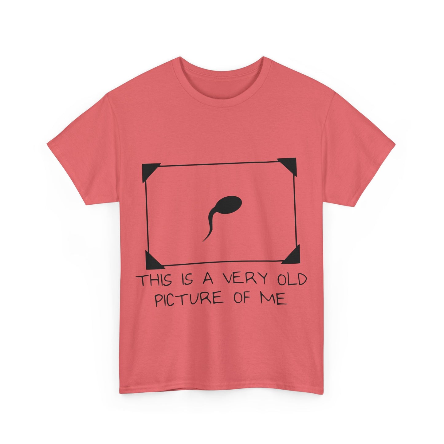 This Is A Very Old Picture Of Me - Funny Unisex Heavy Cotton Tee