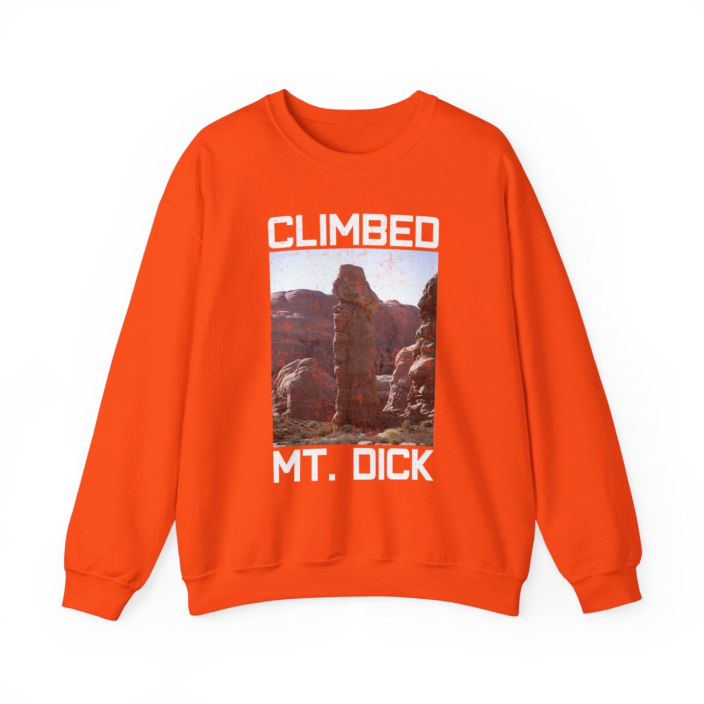 Climbed MT. Dick