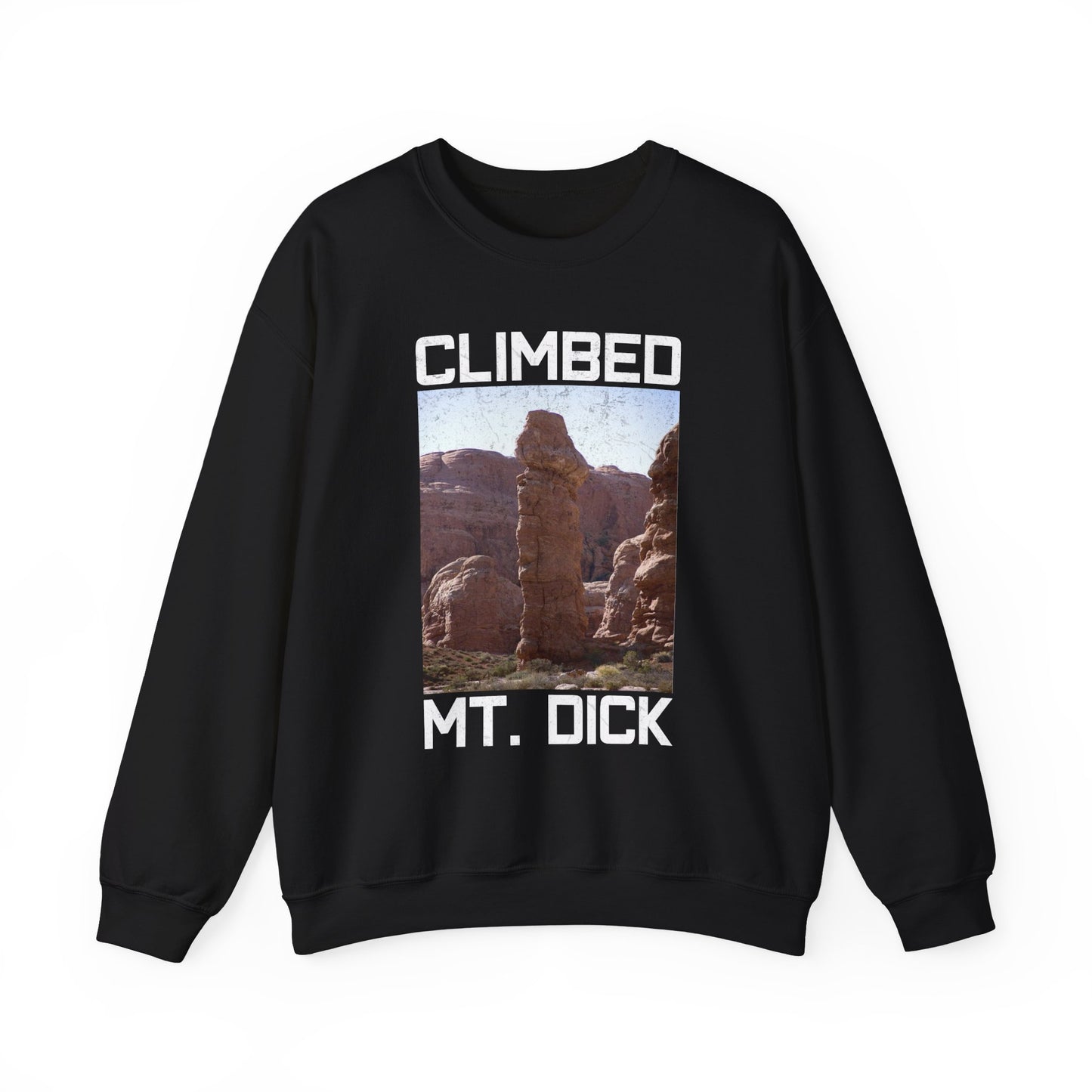 Climbed MT. Dick