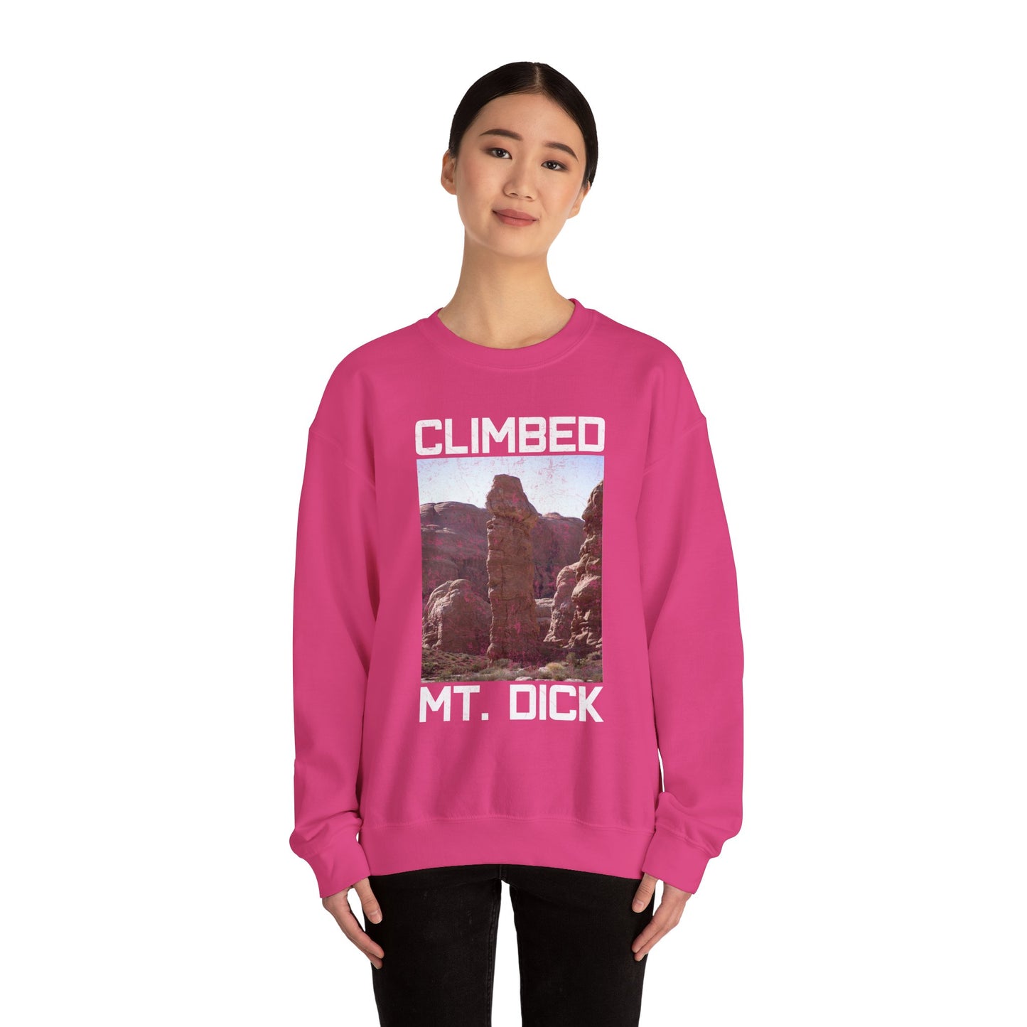 Climbed MT. Dick